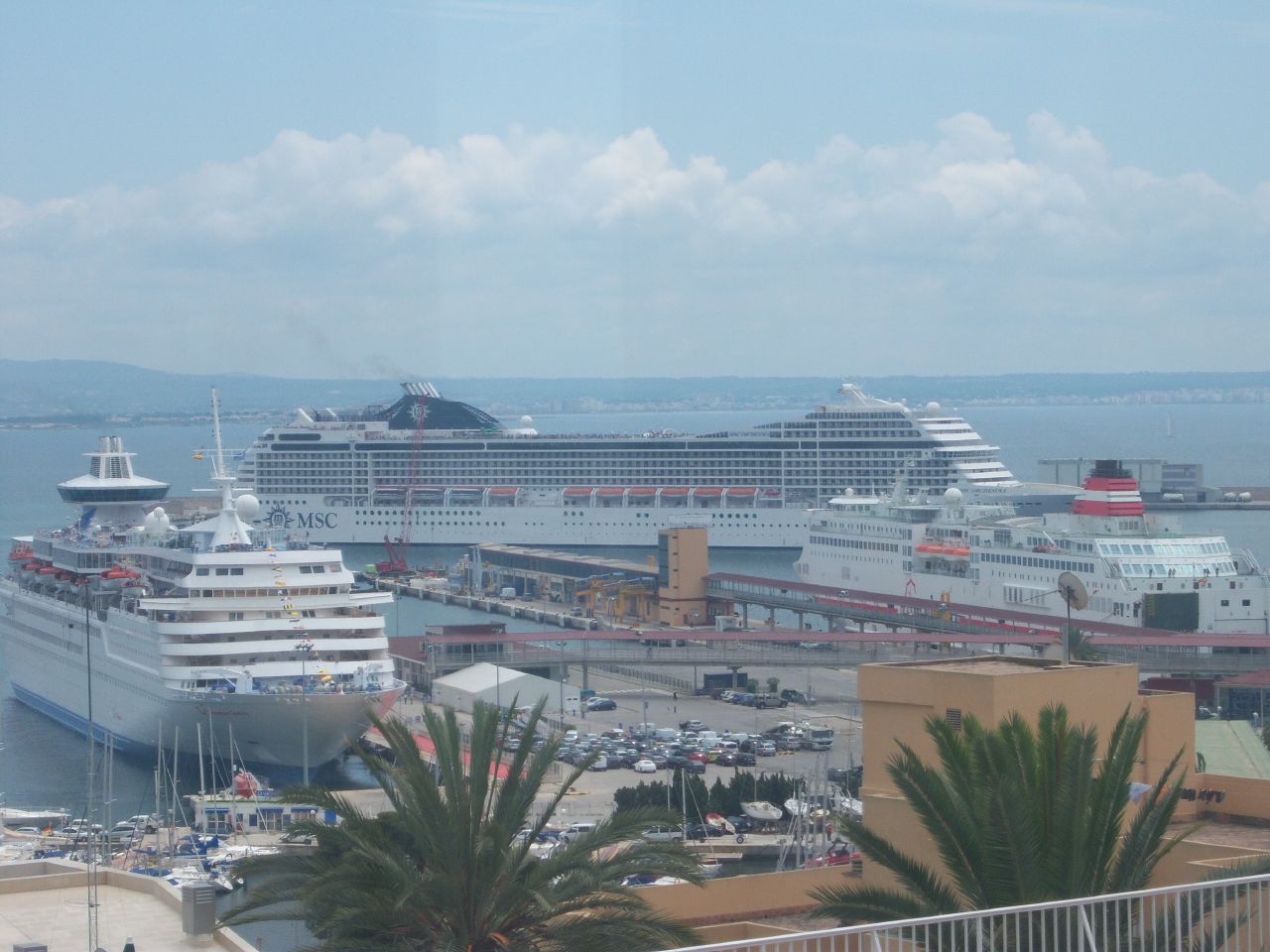 Erfahrungen fähre toulon alcudia Corsica Ferries
